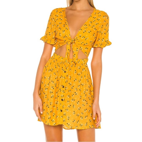 Agua Bendita Dresses & Skirts - Agua Bendita x Revolve Melanie Mini Dress